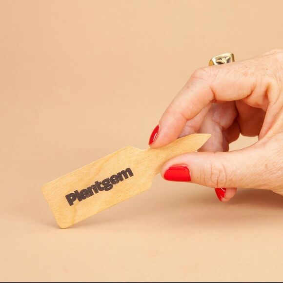 NEW & SEALED: Plantgem Iris Roots - Blue & White - Picture 3 of 6